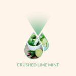 Crushed Lime Mint-01-1