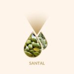 santal-1