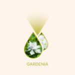gardenia-perfect-home-2