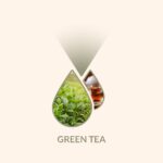 green-tea-aromaicon_2