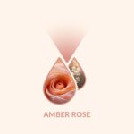 Amber Rose