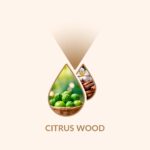 Citrus wood