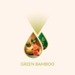 Green bamboo